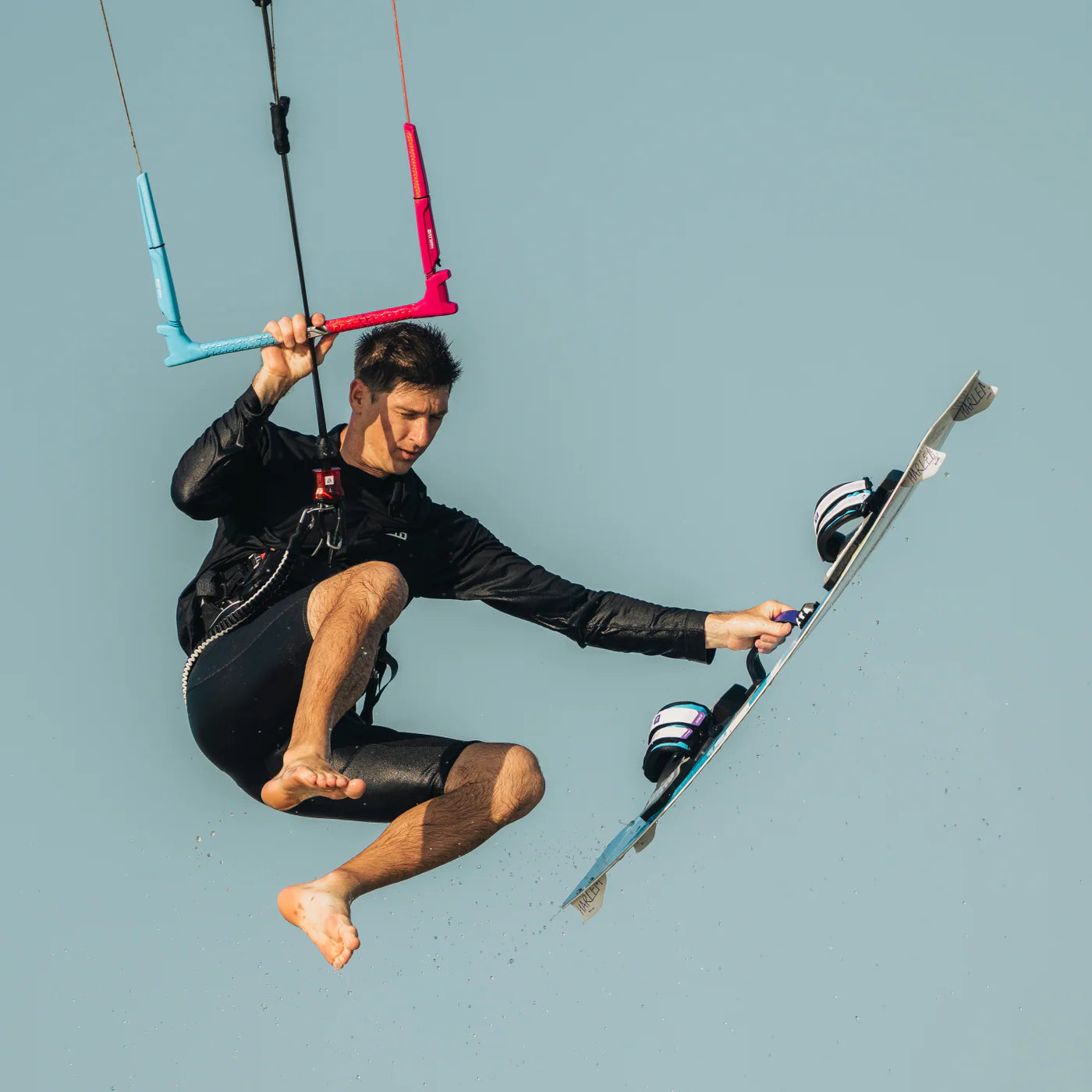 HARLEM BOARD HANDLE PURPLE